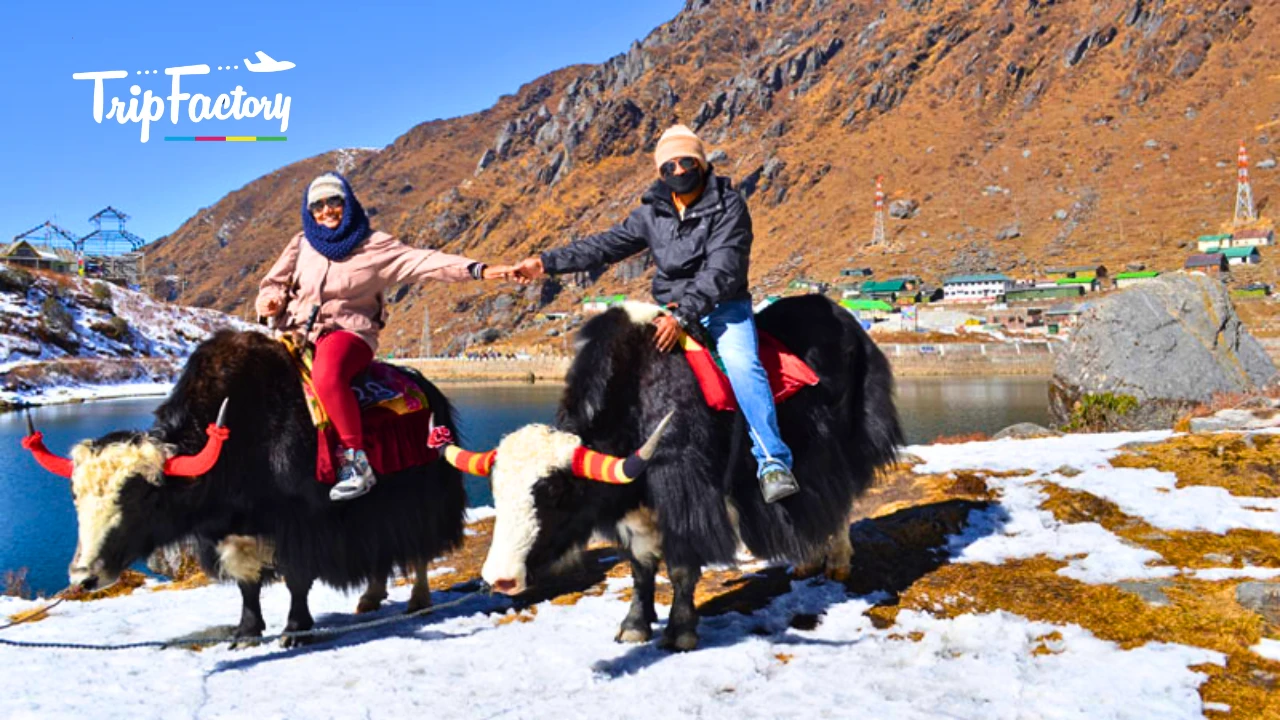 Test – TradeMSME India Supplier